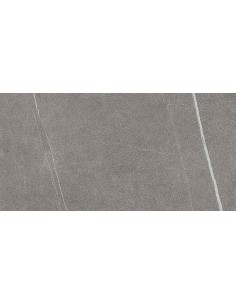 29.5X59.5 NOMADE ARGENT RECT