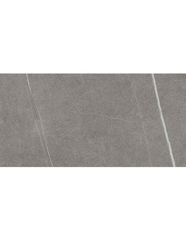 29.5X59.5 NOMADE ARGENT RECT