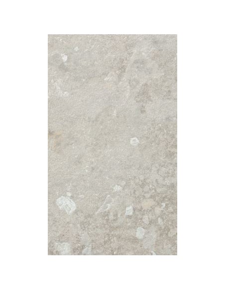 60X120 LIFESTILE GREY RECT