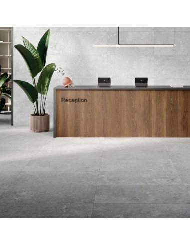 60X120 LIFESTILE GREY RECT