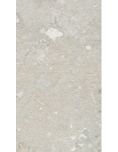 60X120 LIFESTILE PEARL RECT