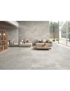 59.5X119.2 PETRA VIVA SILVER RECT 2