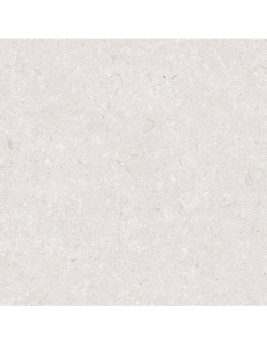 59.5X59.5 PACIFIC PEARL MT RECT