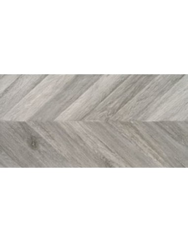 60X120 GRECO ARGENT MT RECT