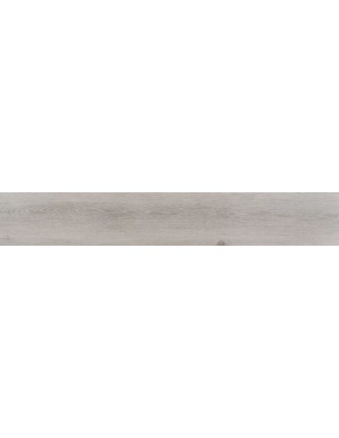 20X120 COMET GREY MT RECT
