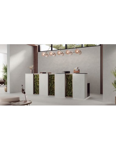 29.5X59.5 HUDSON WHITE RECT