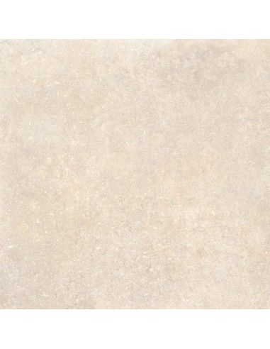 59.5X59.5 LEGACY BEIGE RECT