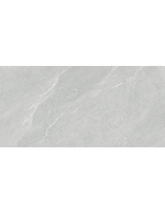 59.5X119.2 DHARA ASH RECT