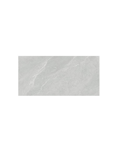 59.5X119.2 DHARA ASH RECT