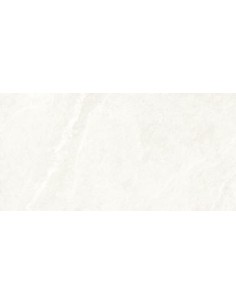 59.5X119.2 DHARA WHITE RECT