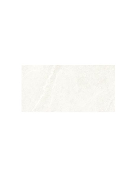 59.5X119.2 DHARA WHITE RECT