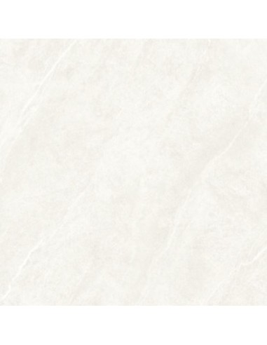 59.5X59.5 DHARA SAND RECT