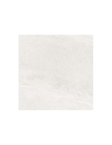 59.5X59.5 PREMIERE WHITE RECT