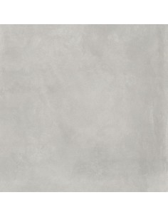 59.5X59.5 SEVEN SILVER RECT