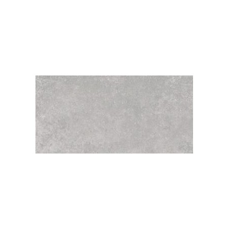 30.5X60.5 WELLS LIGHT GREY MT