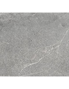 59.5X59.5 PREMIERE LIGHT RECT